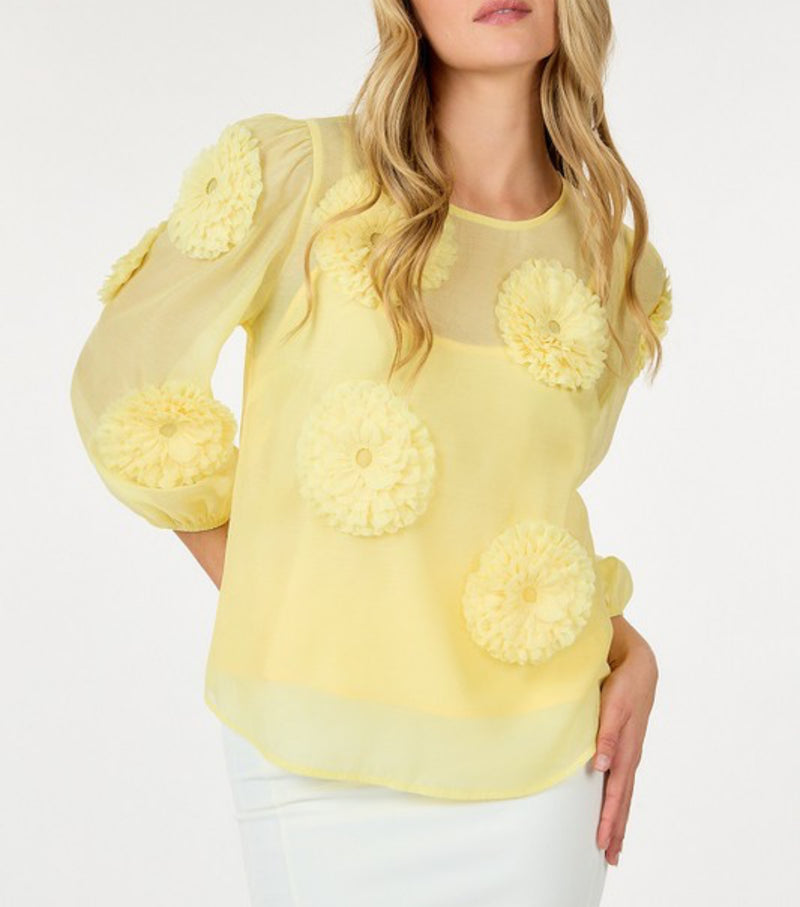 Flower appliqué top